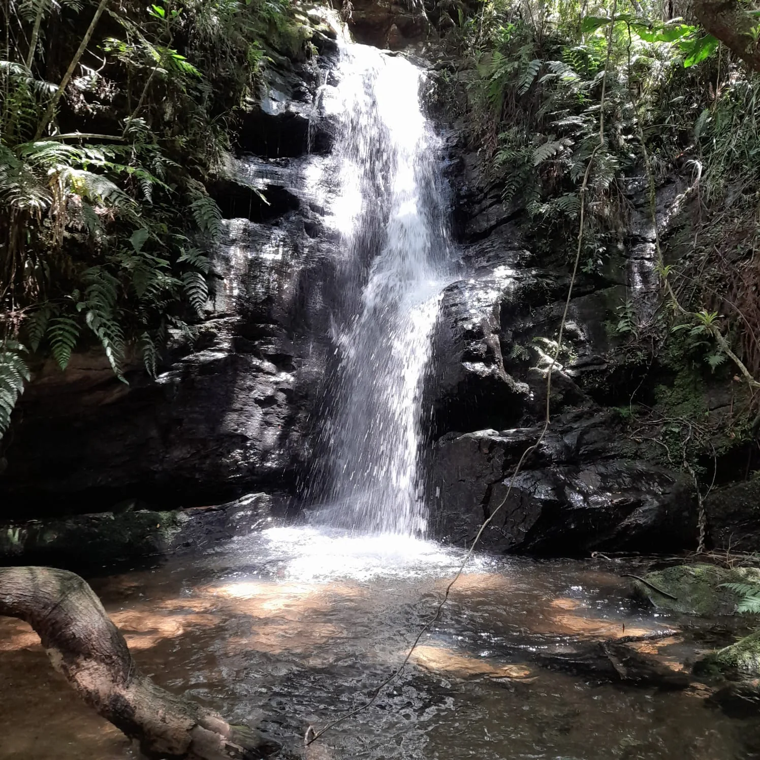 Cachoeira do Carvalhinho